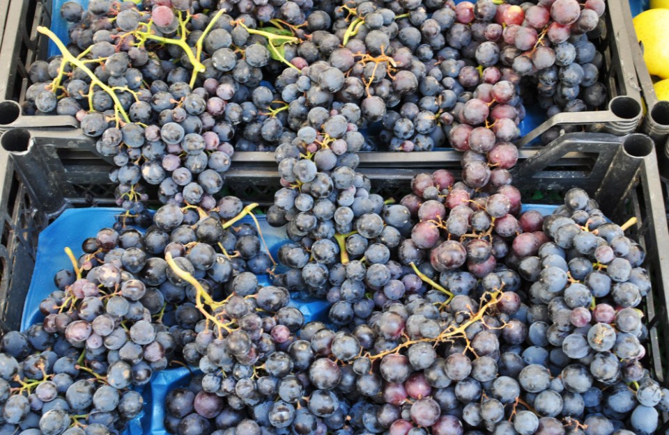 Grapes Price Today (27 April 2024) in Delhi and Rajasthan